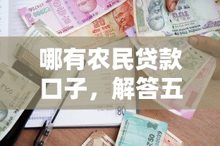 哪有农民贷款口子，解答五家小微贷款平台