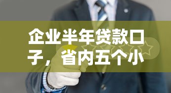 企业半年贷款口子，省内五个小额贷款平台排名不分先后