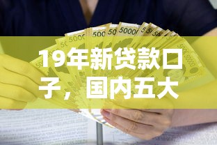 19年新贷款口子，国内五大不看征信的小额借款平台