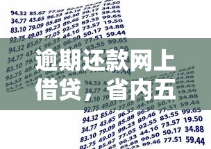 逾期还款网上借贷，省内五个贷款获客平台