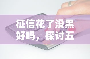 征信花了没黑好吗，探讨五款征信查询多能下款的平台