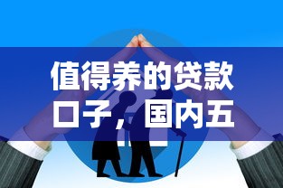 值得养的贷款口子，国内五大65岁稳放款口子的年龄要求
