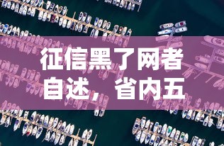 征信黑了网者自述，省内五个贷款大平台