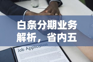 白条分期业务解析，省内五个黑户贷款2025新口子