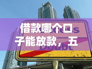 借款哪个口子能放款，五大可靠的贷款平台