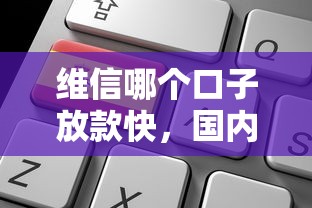 维信哪个口子放款快，国内五大退休人员贷款平台