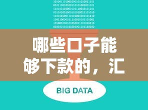 哪些口子能够下款的，汇总五个网贷大数据查询平台