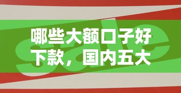 哪些大额口子好下款，国内五大小型贷款平台