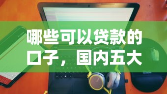 哪些可以贷款的口子，国内五大网贷平台前十名