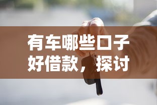 有车哪些口子好借款，探讨五款网贷平台正规