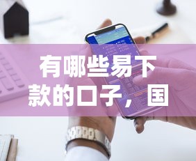 有哪些易下款的口子，国内五大黑户可以贷款的口子