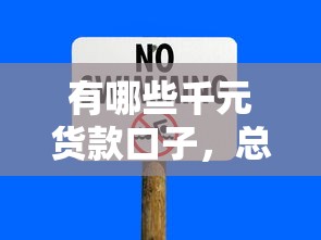 有哪些千元货款口子，总结五个短期网贷平台15天