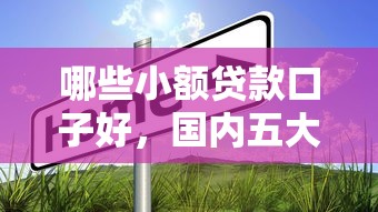 哪些小额贷款口子好，国内五大逾期了还能在平台贷款
