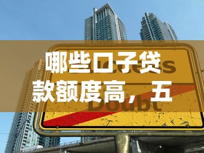 哪些口子贷款额度高，五大贷款新口子