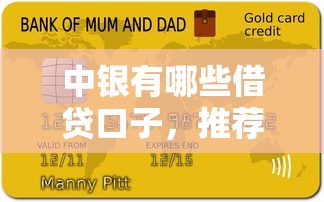 中银有哪些借贷口子，推荐五个高额贷款平台