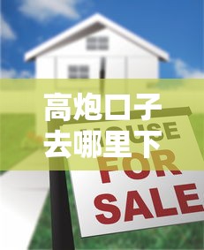 高炮口子去哪里下载，国内五大征信花了还有平台可以借款