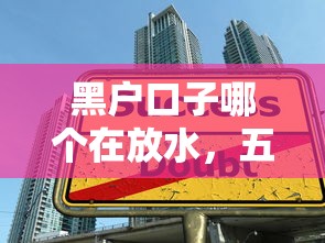 黑户口子哪个在放水，五大好的贷款平台