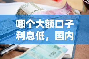 哪个大额口子利息低，国内五大2025高炮双黑逾期必下款口子