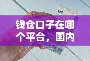钱仓口子在哪个平台，国内五大正规借钱平台