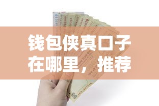 钱包侠真口子在哪里，推荐五个黑户能在借款平台借到钱