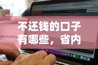 不还钱的口子有哪些，省内五个找贷款平台