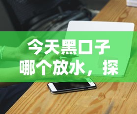 今天黑口子哪个放水，探讨五款满18就可以贷款的平台