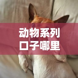 动物系列口子哪里的，省内五个台胞证贷款平台