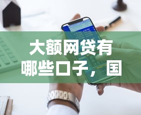 大额网贷有哪些口子，国内五大借钱好的平台