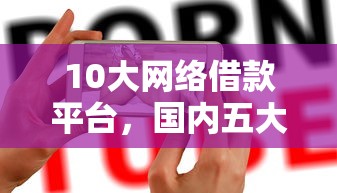 10大网络借款平台，国内五大黑户真正能借到款的口子
