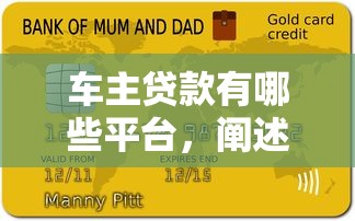 车主贷款有哪些平台，阐述5家大额度贷款平台