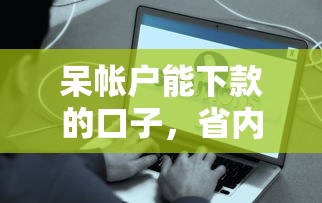 呆帐户能下款的口子，省内五个有什么好贷款的平台