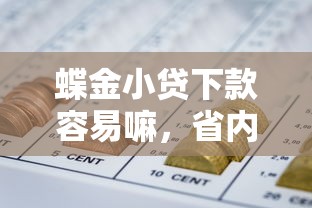 蝶金小贷下款容易嘛，省内五个私人网贷平台