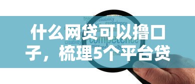 什么网贷可以撸口子，梳理5个平台贷款可靠