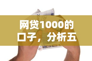 网贷1000的口子，分析五个借款平台的钱好借一点