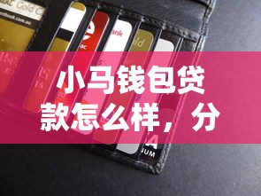 小马钱包贷款怎么样，分享五个网上借钱平台好借