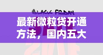 最新微粒贷开通方法，国内五大厦门贷款平台