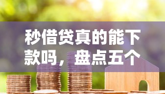 秒借贷真的能下款吗，盘点五个校园贷款平台