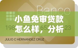 小鱼免审贷款怎么样，分析五个平台不看负债和征信可以借到钱