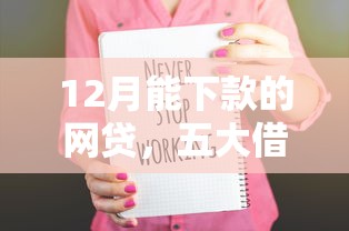 12月能下款的网贷，五大借得到的贷款平台