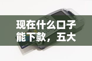 现在什么口子能下款，五大与汇购商城一样的口子
