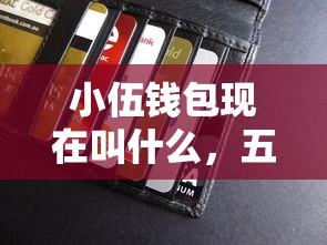 小伍钱包现在叫什么，五大绝对不上征信的贷款平台
