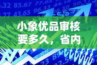 小象优品审核要多久，省内五个可靠的小额贷款平台