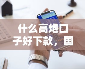 什么高炮口子好下款，国内五大网上贷款平台