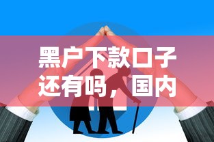 黑户下款口子还有吗，国内五大现在平台好贷款
