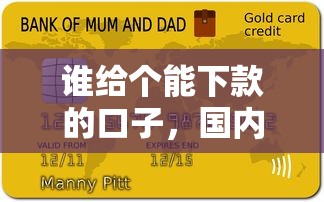 谁给个能下款的口子，国内五大不审核征信的贷款平台