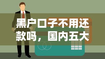 黑户口子不用还款吗，国内五大平台贷款靠谱
