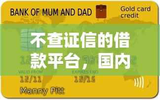不查证信的借款平台，国内五大信用贷款平台好
