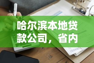 哈尔滨本地贷款公司，省内五个征信花了可以用的借款平台