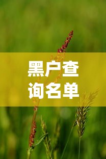 黑户查询名单梅仙绿，五大花户借款平台容易通过