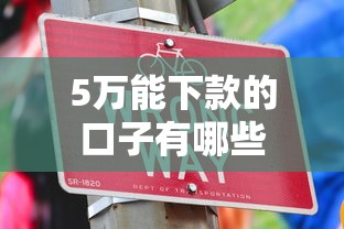 5万能下款的口子有哪些